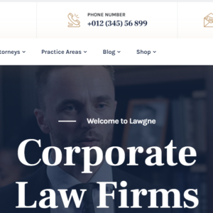 Customized Salon Theme Development – Sakvision