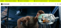Customized Fitness Theme Development – Sakvision